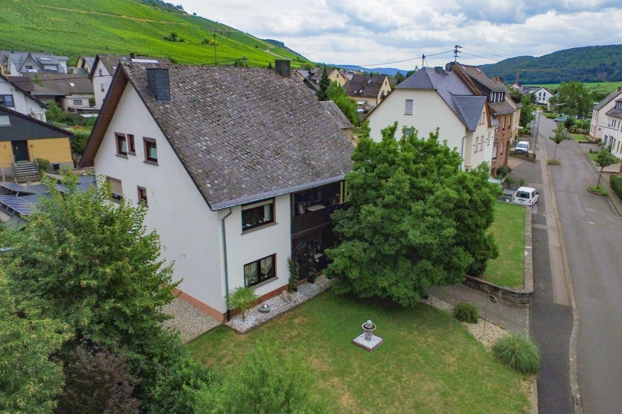 Bed and Breakfast Moselhaus Zeltingen-Rachtig Exterior foto